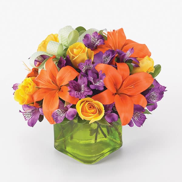 Joyful Blooms