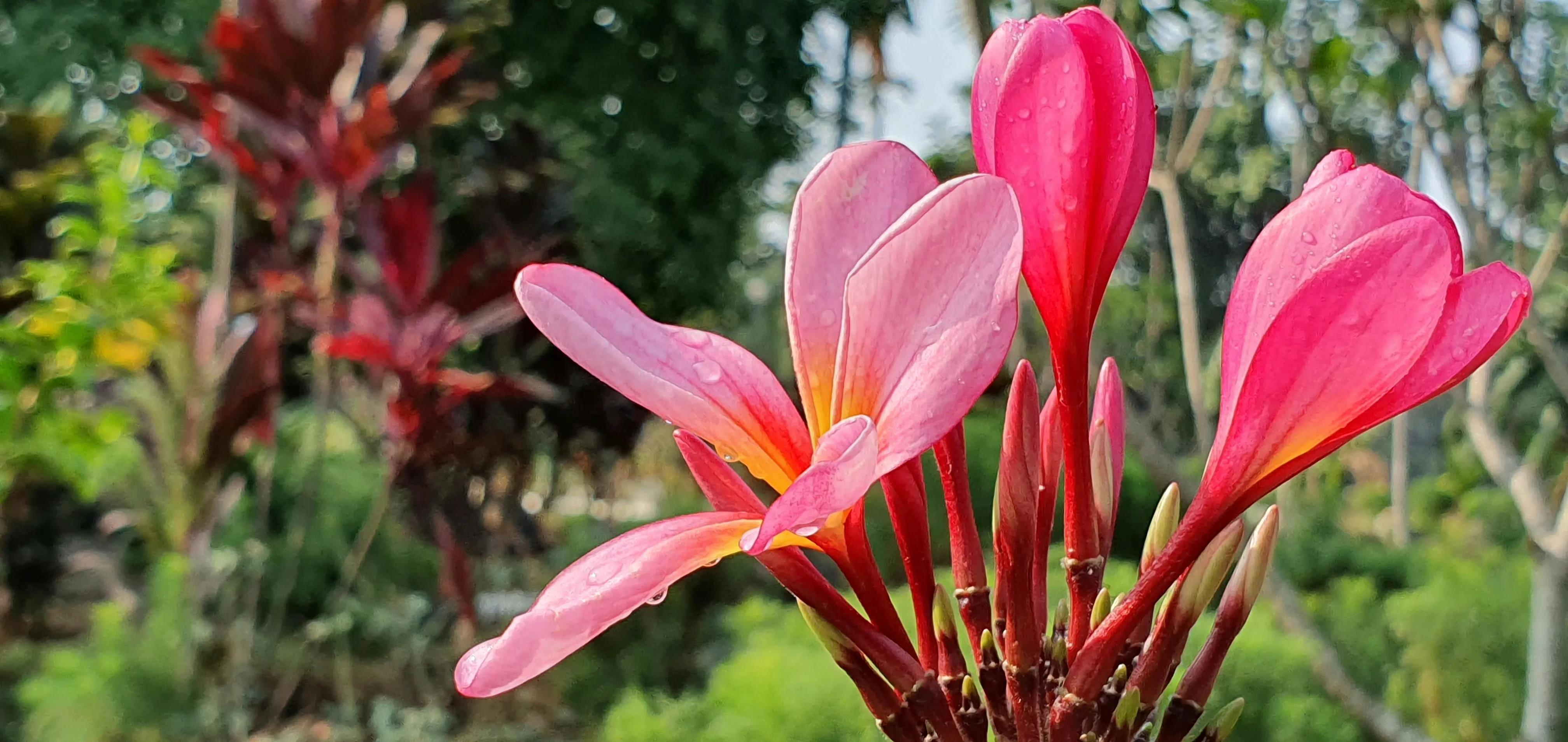 When You Can’t Visit: How to Bring Joy to a Loved One in a Nursing Home