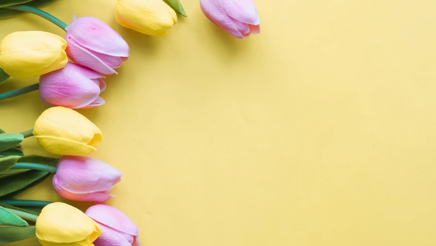 Which Flowers Should You Send for a Baby Based on Their Birth Month?